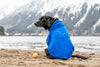hooded dog sweatshirt