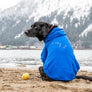hooded dog sweatshirt