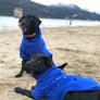 hooded dog sweater