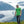 The Glacier Rainforest T-Shirt in front of Mendenhall Glacier 