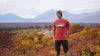 Denali Mountain National Park T-Shirt and fall colors